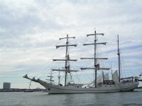 Hanse sail 2010.SANY3862